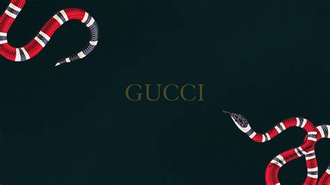 live snake in gucci show|gucci snake logo.